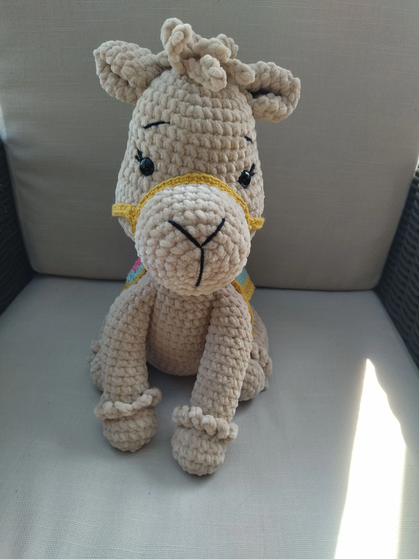 Camel – photo 3